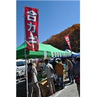 2014FBM (76).JPG